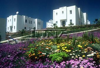 Beautiful dublex villas Bodrum Bodrum